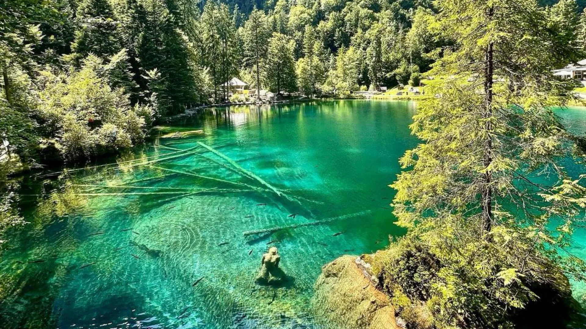 Blausee: Het legendarische meer van Zwitserland