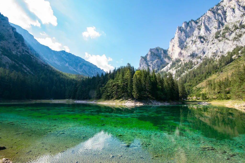 Österreich - Grüner See: Ein Park, der unter Wasser liegt