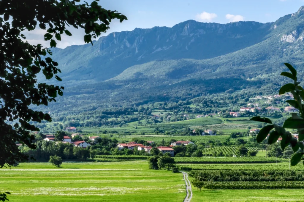 Die grünen Weinberge des Vipava-Tals und die im Hintergrund aufragenden Berge bieten friedliche Landschaften inmitten der Natur.